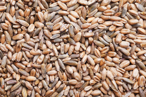 close up of a pile of rice - Photo, Image
