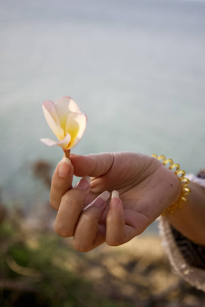 A vertical closeup shot of a female hand holding a small flower - Фото, зображення
