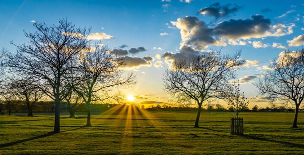 A wide shot of an empty green field with leafless trees and the sun shining in the background - 写真・画像