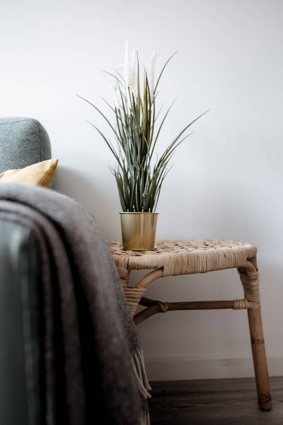A vertical shot of a nice stand with a houseplant by the sofa - Фото, зображення