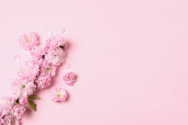 Beautiful sakura tree blossoms on pink background, flat lay. Space for text - Foto, immagini