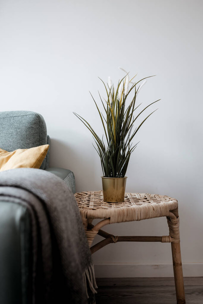A vertical shot of a nice stand with a houseplant by the sofa - Fotó, kép