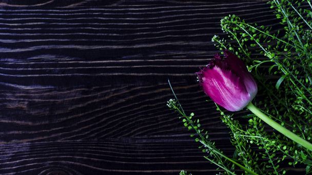 Flatly floral arrangement of purple tulip with green leaves and decor on a dark wooden background kopi space - Photo, Image