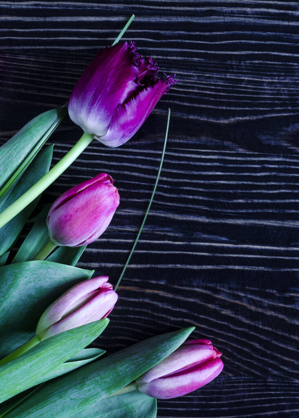 white and lilac tulips with green leaves on a dark wooden background vertical orientation - Foto, afbeelding