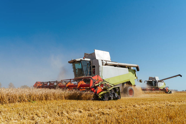 収穫物の熟した小麦を組み合わせる。豊かな収穫の概念。農業画像 - 写真・画像