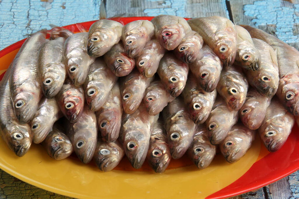 Sok friss olvasztott hal színes tányéron és fa háttér régi kék színű, szagú halak (európai olvadék) citrommal és zöld petrezselyemmel, csoport friss olvasztott hal  - Fotó, kép