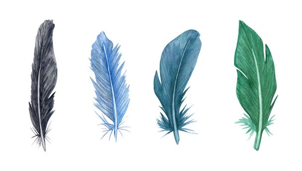Watercolor feather set. Hand drawn bird feathers clipart. - Photo, Image
