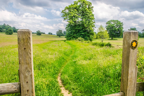 Gateway to grass meadow, Surrey, England  - Фото, изображение