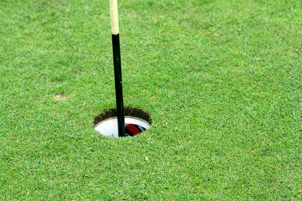 Golfing - Photo, Image