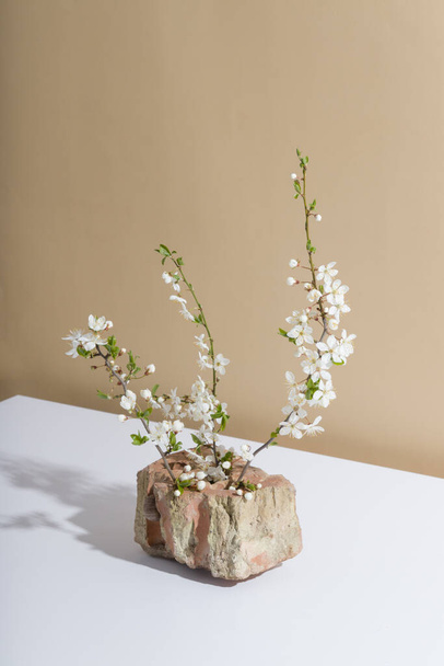 stone and flowering branches - creative spring still life with hard shadows - Foto, Bild