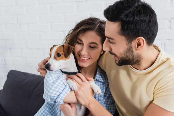 happy interracial couple petting jack russell terrier  - Photo, Image