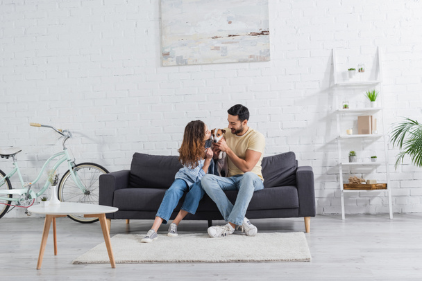 happy interracial couple petting jack russell terrier in modern living room  - Photo, Image