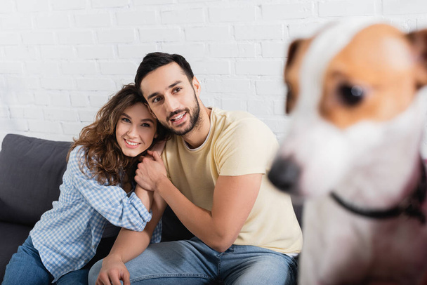 happy interracial couple looking at blurred jack russell terrier on blurred foreground  - Foto, imagen