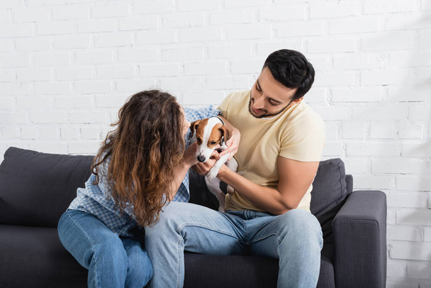 pleased interracial couple cuddling jack russell terrier in living room - Photo, Image