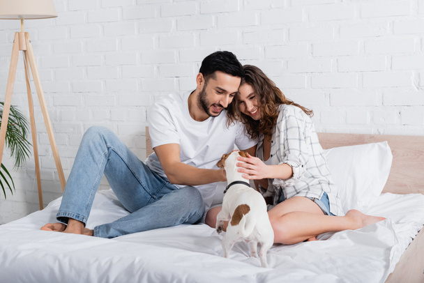 happy interracial couple cuddling jack russell terrier in bed - Foto, Imagem