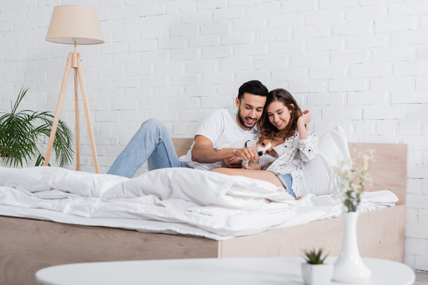 smiling interracial couple cuddling jack russell terrier in bed - Foto, imagen