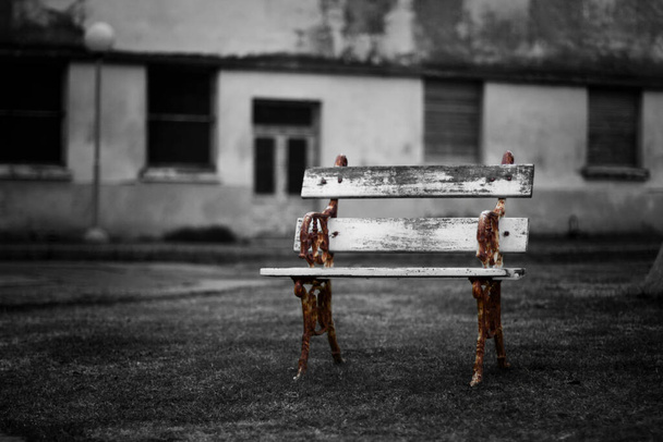 old wooden bench in the garden of an abandoned hotel - Photo, Image