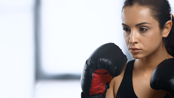 fókuszált sportnői edzés bokszkesztyűben - Fotó, kép