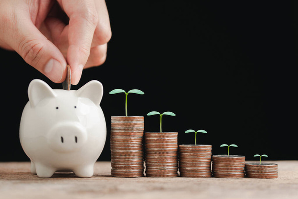 Hand putting a coin in the white piggy bank with coin stacked and tree growing up on it, concept for business financial, money investment, income growing in the future isolated on black background. - Photo, Image