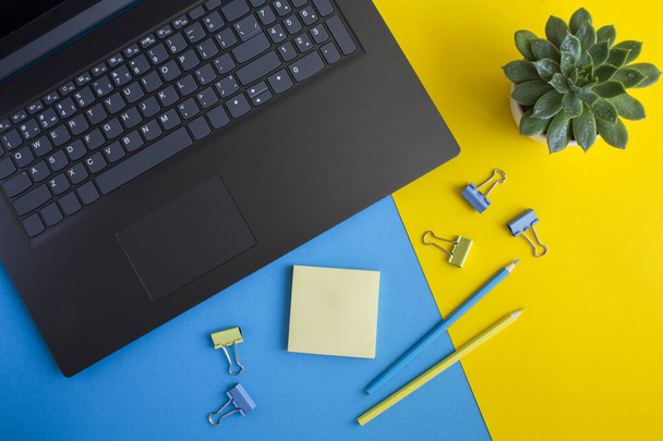 Draufsicht auf den Schreibtisch mit Laptop, Kaktus und Schreibwaren auf dem farbigen Hintergrund. Flache Arbeitsfläche Schreibtisch. - Foto, Bild