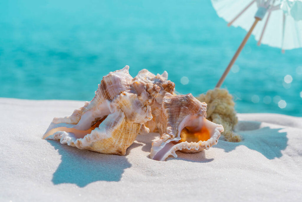 Muscheln und Sonnenschirm auf weißem Sand und blauem Wassergrund, Platz für Text. Sommerstrand. Muschel im Sand. Hochwertiges Foto - Foto, Bild