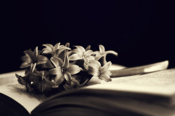 Карточка сочувствия с гиацинтовым цветком и открытой книгой. Открытка с соболезнованиями - Фото, изображение