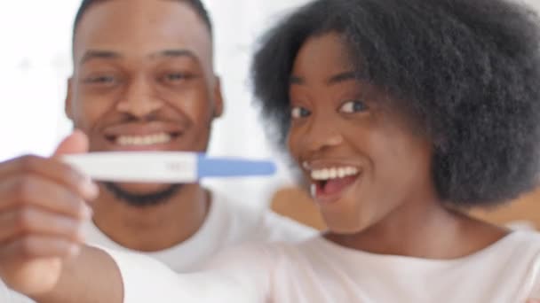 Emocionada pareja africana casada mostrando resultado positivo de la prueba de embarazo mirando a la cámara feliz sonriendo. Futuro afro negro padres mujer y hombre esperando bebé esperando niño. Concepto de amor de maternidad - Metraje, vídeo