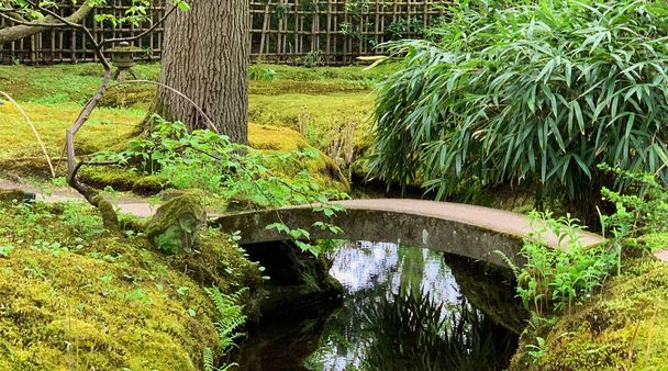 Een betonnen bruggetje, een pad, een beekje, een boomstam en een bamboestruik. Een houten hek op de achtergrond. De Japanse tuin in Den Haag, Nederland is ontstaan in het begin van de 20e eeuw en is slechts in een beperkte periode per jaar geopend.. - Foto, afbeelding