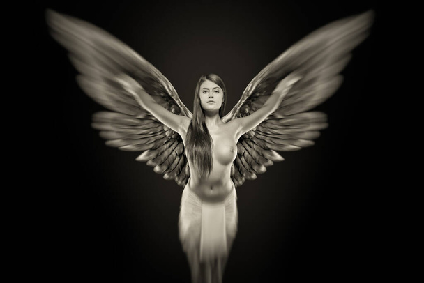 young beauty with angel wings - Photo, Image