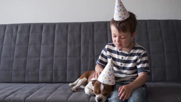 4k. Grappige chihuahua hond met vrolijke kleuter. Verjaardagshond met feestmuts. - Video