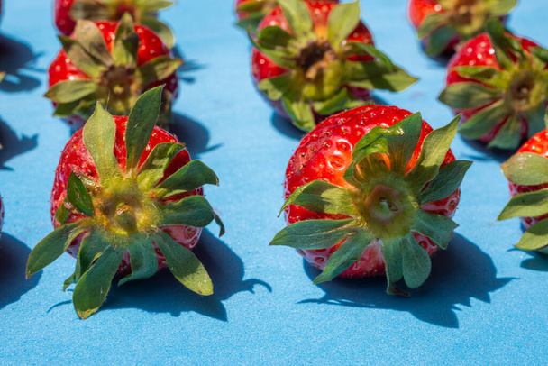 Patroon van rijpe rode aardbeien met groene bladeren opgesteld op blauwe achtergrond bij daglicht.Lekker seizoensfruit. - Foto, afbeelding