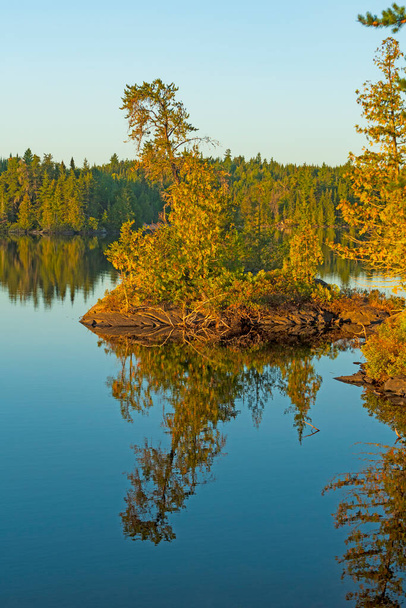 Утренний рефлекс на крошечном острове на озере Дженни в штате Миннесота - Фото, изображение