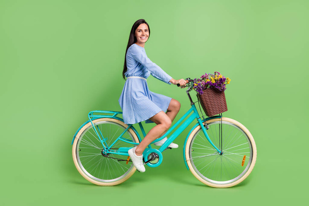 Full length profile photo of positive brown hair lady ride bicycle wear dress isolated on green background - Photo, image