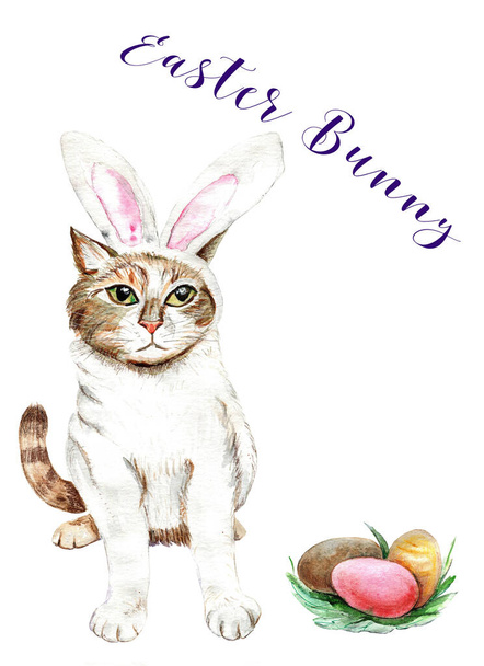 Easter card with cat and eggs watercolor handmade - Photo, Image