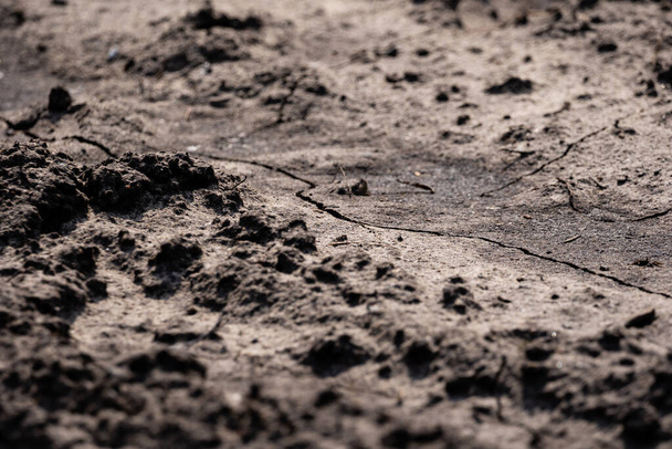 a sáros út száraz a napon, és érdekes mintát és lenyomatokat játszik - Fotó, kép