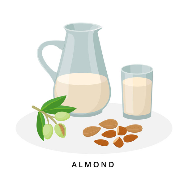 Almond milk in jug and glass. Plant milk, vegan milk concept. Vector illustration isolated on white background. Alternative milk and ingredients. - Vector, Image