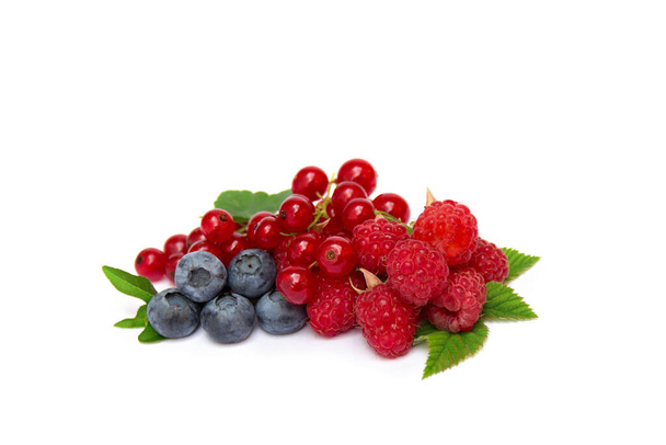 Свіжі червоні ягоди малини, чорниці, червона смородина з зеленим листям на білому тлі з місцем для тексту
 - Фото, зображення