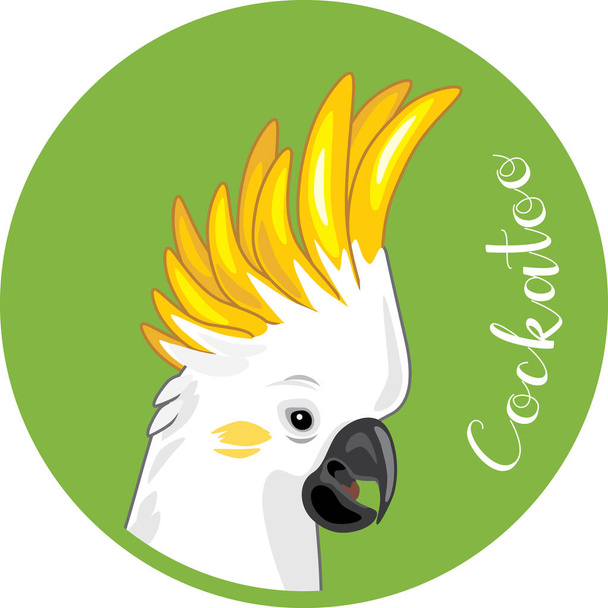 Cockatoo head. Sticker for design - Διάνυσμα, εικόνα