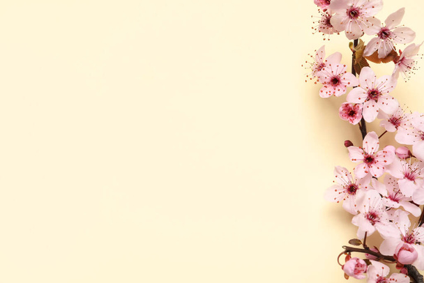 Blossoming spring tree branch as border on beige background, flat lay. Space for text - 写真・画像