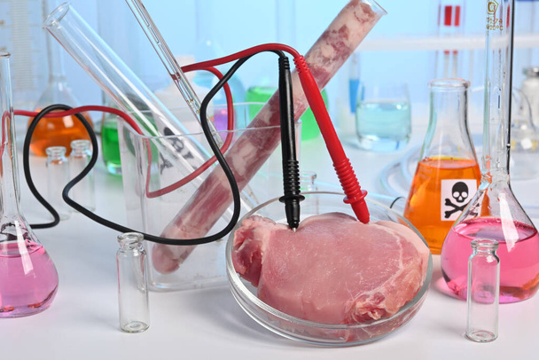 Lab Test of Artificial Grown Meat with Electrodes - Photo, image