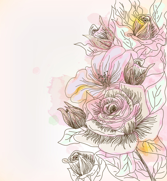 Hand drawn roses - ベクター画像