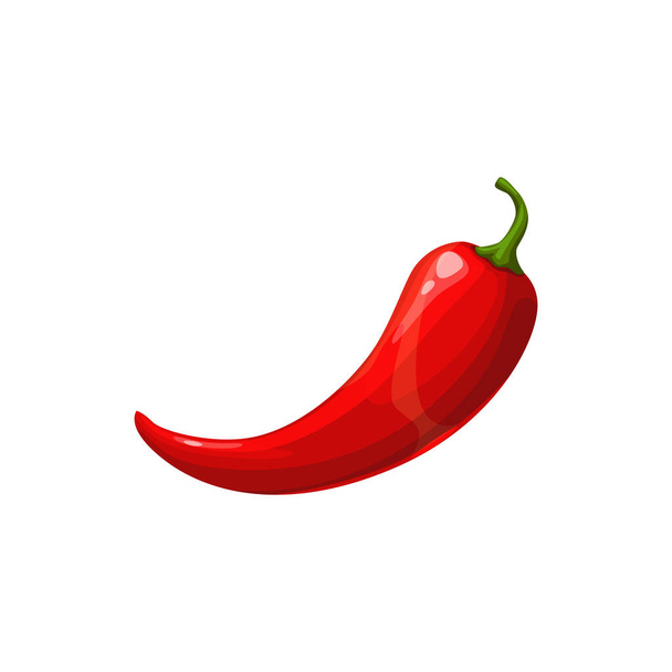 Jalapeno, red hot chili pepper vector vegetable. Chilli savory natural condiment isolated on white background. Cartoon element for design, organic veggies, ripe plant, eco farm production - Vector, Image