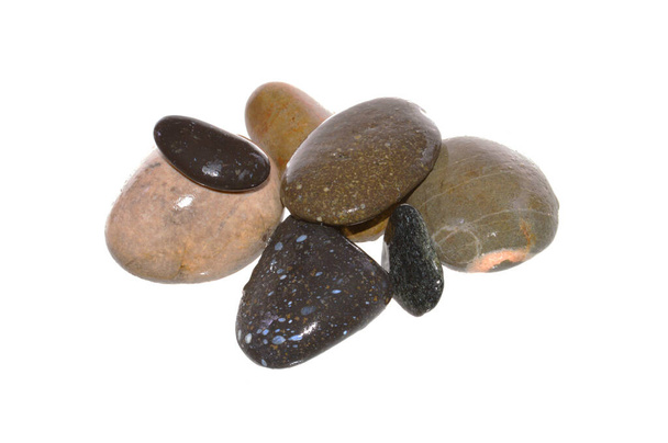 piedras marinas aisladas sobre fondo blanco - Foto, imagen