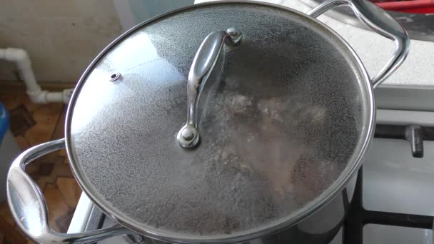 soep wordt gekookt in een pan op het fornuis. gezond voedselconcept - Video