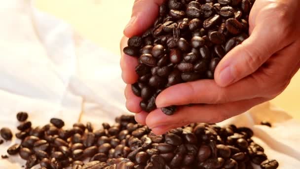 Detailní záběr rukou držících čerstvé pražené kávové zrno a padající na povrch pytle. - Záběry, video