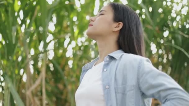 De glimlach van jonge Aziatische vrouw ontspannen genieten van rustige zonsondergang en kijken omhoog uitademen frisse lucht ontspannen in een openbaar park op de prachtige zomer zonsondergang. - Video