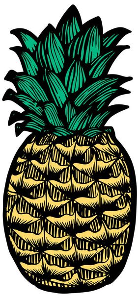 Pineapple hand drawn illustration. Tropical fruit woodcut drawing. - Vector, Image
