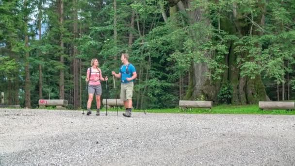 Wandelaars paar op een rustplaats kijken terug op het bos dat ze zijn overgestoken - Video