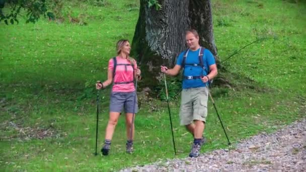 Молода пара гуляє разом у лісі влітку насолоджуючись здоровим способом життя
. - Кадри, відео