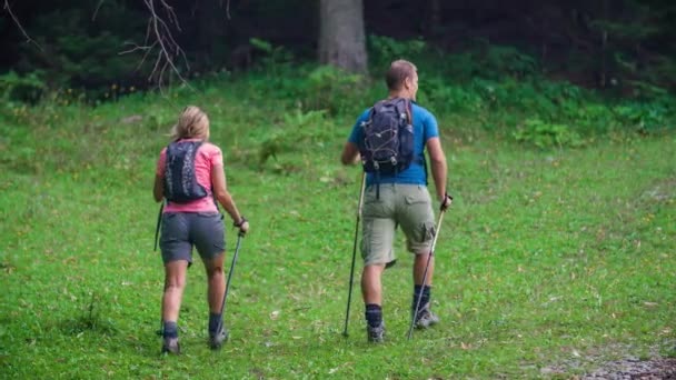 トレッキングシューズとトレッキングポールを身に着けている女性と男のハイキング, Topla Valley. - 映像、動画